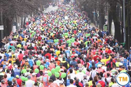 TREVISO MARATHON 1.3 | 42K,21K,Staffetta 2016